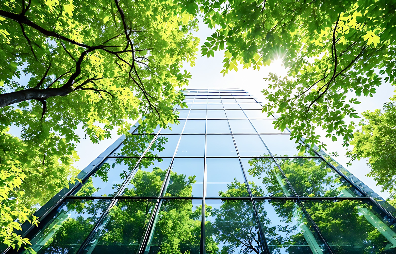 For a Sustainable Future